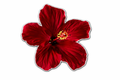 Red Hibiscus Flower 3D Metal Sticker